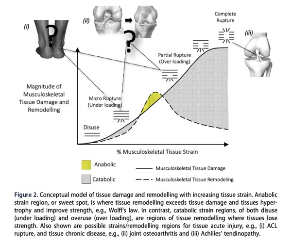 Understanding How You Work And Why You’re Hurting